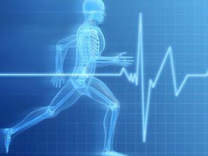 check-up cardiovascolare analisi cliniche caserta